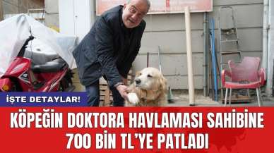 Köpeğin doktora havlaması sahibine 700 bin TL’ye patladı