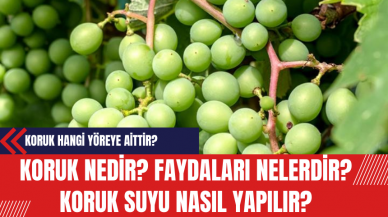 Koruk Nedir? Faydaları Nelerdir? Kimler Yapar? Suyu Nasıl Yapılır?