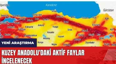 Kuzey Anadolu'daki aktif faylar incelenecek