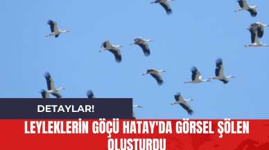 Leyleklerin Göçü Hatay'da Görsel Şölen Oluşturdu