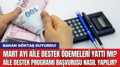 Mart ayı aile destek ödemeleri yattı mı? Aile Destek Programı başvurusu nasıl yapılır?