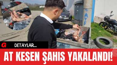 At Kesen Şahıs Yakalandı!