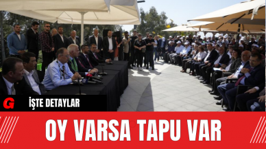 Oy Varsa Tapu Var