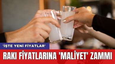 Rakı fiyatlarına 'maliyet' zammı