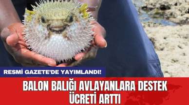 Resmi Gazete’de yayımlandı! Balon balığı avlayanlara destek ücreti arttı