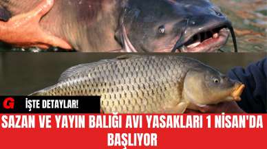 Sazan ve Yayın Balığı Avı Yasakları 1 Nisan'da Başlıyor