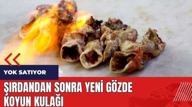 Şırdandan sonra yeni gözde koyun kulağı