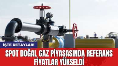 Spot doğal gaz piyasasında referans fiyatlar yükseldi