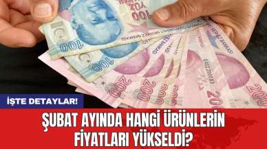 Şubat ayında hangi ürünlerin fiyatları yükseldi?