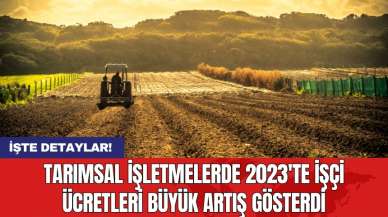 Tarımsal işletmelerde 2023'te işçi ücretleri büyük artış gösterdi