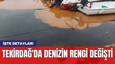 Tekirdağ'da denizin rengi değişti