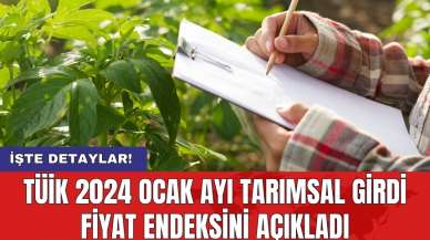 TÜİK 2024 Ocak ayı Tarımsal girdi fiyat endeksini açıkladı