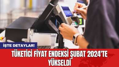 Tüketici Fiyat Endeksi Şubat 2024'te yükseldi