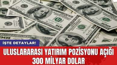 Uluslararası yatırım pozisyonu açığı 300 milyar dolar