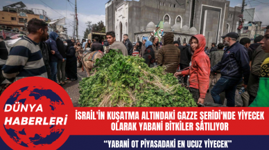 İsrail'in Kuşatma Altındaki Gazze Şeridi'nde Yiyecek Olarak Yabani Bitkiler Satılıyor