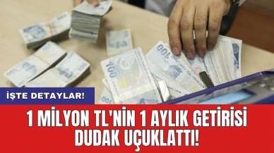 1 milyon TL'nin 1 aylık getirisi dudak uçuklattı!