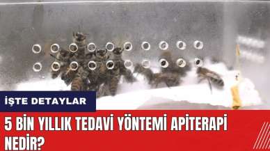 5 bin yıllık tedavi yöntemi apiterapi nedir?