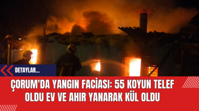 Çorum'da Yangın Faciası: 55 Koyun Telef Oldu Ev ve Ahır Yanarak Kül Oldu