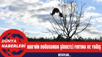 ABD'nin Doğusunda Şiddetli Fırtına ve Yağış