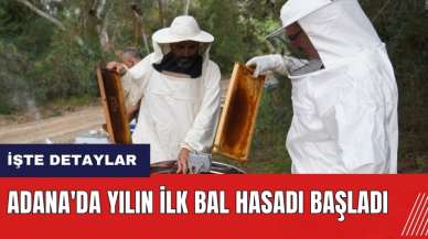 Adana'da yılın ilk bal hasadı başladı!