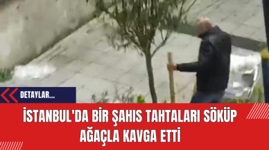 İstanbul'da Bir Şahıs Tahtaları Söküp Ağaçla Kavga Etti