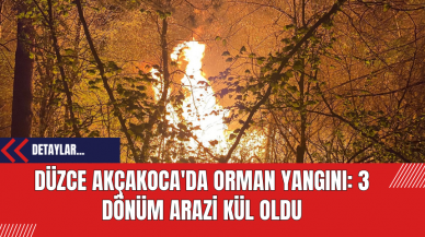 Düzce Akçakoca'da Orman Yangını: 3 Dönüm Arazi Kül Oldu