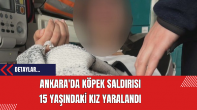 Ankara'da Köpek Saldırısı: 15 Yaşındaki Kız Yaralandı