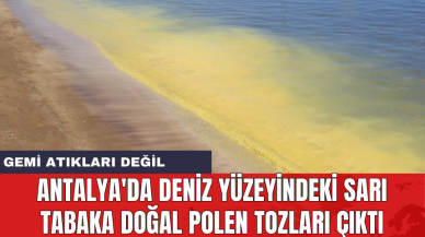 Antalya'da deniz yüzeyindeki sarı tabaka doğal polen tozları çıktı