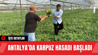 Antalya’da Karpuz Hasadı Başladı