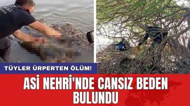 Asi Nehri'nde cansız beden bulundu