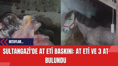 Sultangazi'de At Eti Baskını: At Eti ve 3 At Bulundu