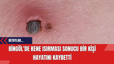 Bingöl'de Kene Isırması Sonucu Bir Kişi Hayatını Kaybetti