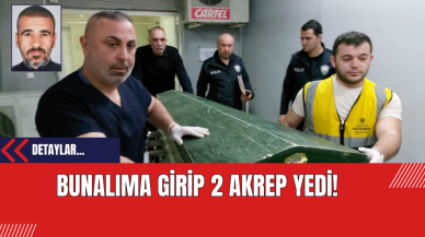 Bunalıma Girip 2 Akrep Yedi!