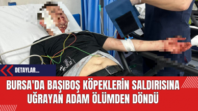 Bursa'da Başıboş Köpeklerin Saldırısına Uğrayan Adam Ölümden Döndü