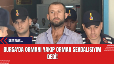 Bursa'da Ormanı Yakıp Orman Sevdalısıyım Dedi!