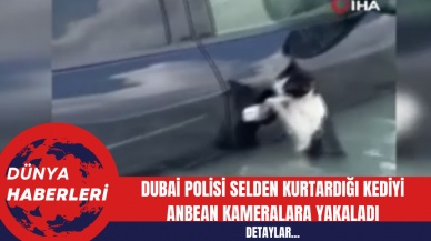 Dubai Polisi Selden Kurtardığı Kediyi Anbean Kameralara Yakaladı