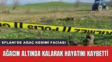 Eflani'de ağaç kesimi faciası: Ağacın altında kalarak hayatını kaybetti