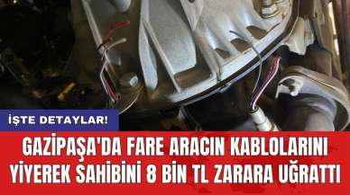 Gazipaşa'da fare aracın kablolarını yiyerek sahibini 8 bin TL zarara uğrattı