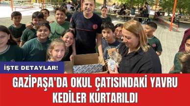 Gazipaşa'da Okul Çatısındaki Yavru Kediler Kurtarıldı