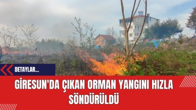 Giresun'da Çıkan Orman Yangını Hızla Söndürüldü