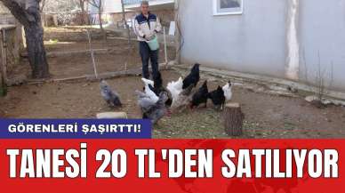 Görenleri şaşırttı! Tanesi 20 TL'den satılıyor