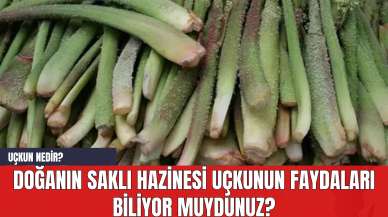 Doğanın Saklı Hazinesi Uçkunun Faydaları Biliyor muydunuz? Uçkun Nedir?