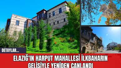 Elazığ'ın Harput Mahallesi İlkbaharın Gelişiyle Yeniden Canlandı