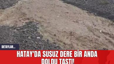 Hatay'da Susuz Dere Bir Anda Doldu Taştı!