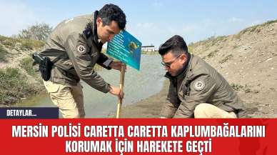 Mersin Polisi Caretta Caretta Kaplumbağalarını Korumak İçin Harekete Geçti