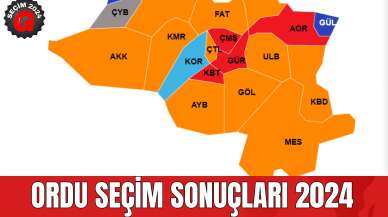 Ordu Seçim Sonuçları 2024