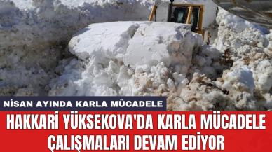 Hakkari Yüksekova'da karla mücadele çalışmaları devam ediyor