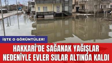 Hakkari'de sağanak yağışlar nedeniyle evler sular altında kaldı