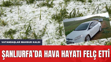 Şanlıurfa'da Fırtına Hayatı Felç Etti