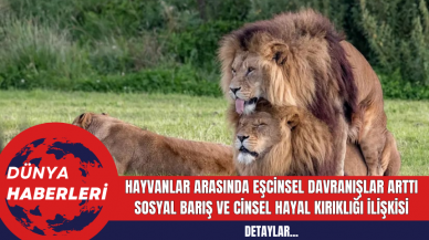 Hayvanlar Arasında Eşcinsel Davranışlar Arttı